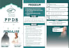 design professional brochure, flyer, or restaurant menu