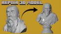 fix stl file repair 3d model mesh cleanup modify character head bust 3d printing