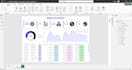 create a professional excel dashboard for your business data