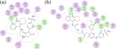 perform professional molecular docking and cadd studies