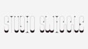 design an identifiable and timeless custom logo for your brand