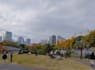 be your tokyo food and culture guide