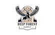 design outstanding sunset pine forest landscape logo