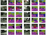 do semantic segmentation polygon and bounding box annotation