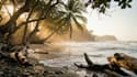 create stunning ai image prompts for reels