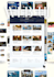 design and develop a professional dynamic website