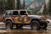 professionally vehicle wrap design