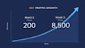 write SEO articles and blog posts