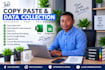 do copy paste, data collection and accurate data entry