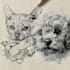 draw detailed pencil sketch illustration