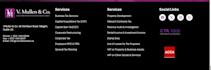 design an ecommerce , dentist and restaurent wordpress website