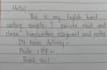 write neat urdu handwriting notes and assignments in 24hr