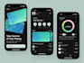develop a professional fintech mobile app