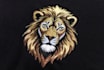 do embroidery digitizing using wilcom with 4 years experienc