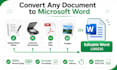 professionally format, edit and redesign microsoft word documents
