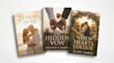 gestalte buchcover, KDP buchcover, ebook cover, amazon KDP