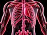 do medical and scientific