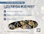 design flyers, event graphics, and promotional content