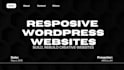 build and rebuild modern responsive business websites according to your need