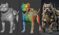 3d second life animesh character, bento rigging, bento skeleton physbones setup