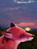 create your personalized digital art piece