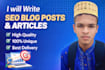 write SEO blog articles and website content