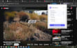 develop a custom chrome extension for web automation and productivity