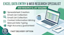 do professional data entry ms office and typing tasks