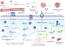 design your scientific illustrations on biorender