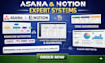 setup and automate asana workflows, notion systems and custom templates