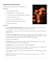 write blogs and articles