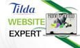 design tilda website redesign tilda website develop converting tilda website