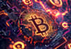 develop crypto invest btc and usdt btc usdt platform