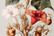 design modern botanical and floral illustrations