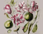 create elegant vintage botanical illustrations for books