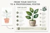 design a professional infographic