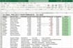 do excel data entry, data cleaning , pdf to excel data entry