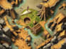do awesome fantasy dnd map illustration