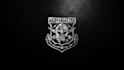 design military army patch badge tactical skull logo