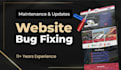 do shopify bug fix shopify store shopify expert shopify developer