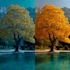 add leaves to trees, add basic landscape, add full landscape, add pool