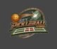 create modern unique pickleball logo design