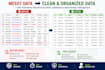 professionally clean, format, and organize excel data