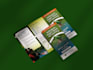 design high quality tri fold brochure in canva and adobe illustrator