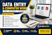 do professional excel data entry, fast web research and copy paste work in 24hor