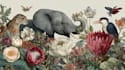 draw an animal and botanical illustration
