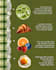 design professional food menu and promo posters