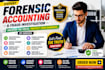 do forensic accounting, fraud detection, and financial investigation