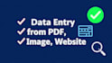 do fast and accurate excel data entry for 5 USD