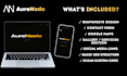build a professional website for your local business
